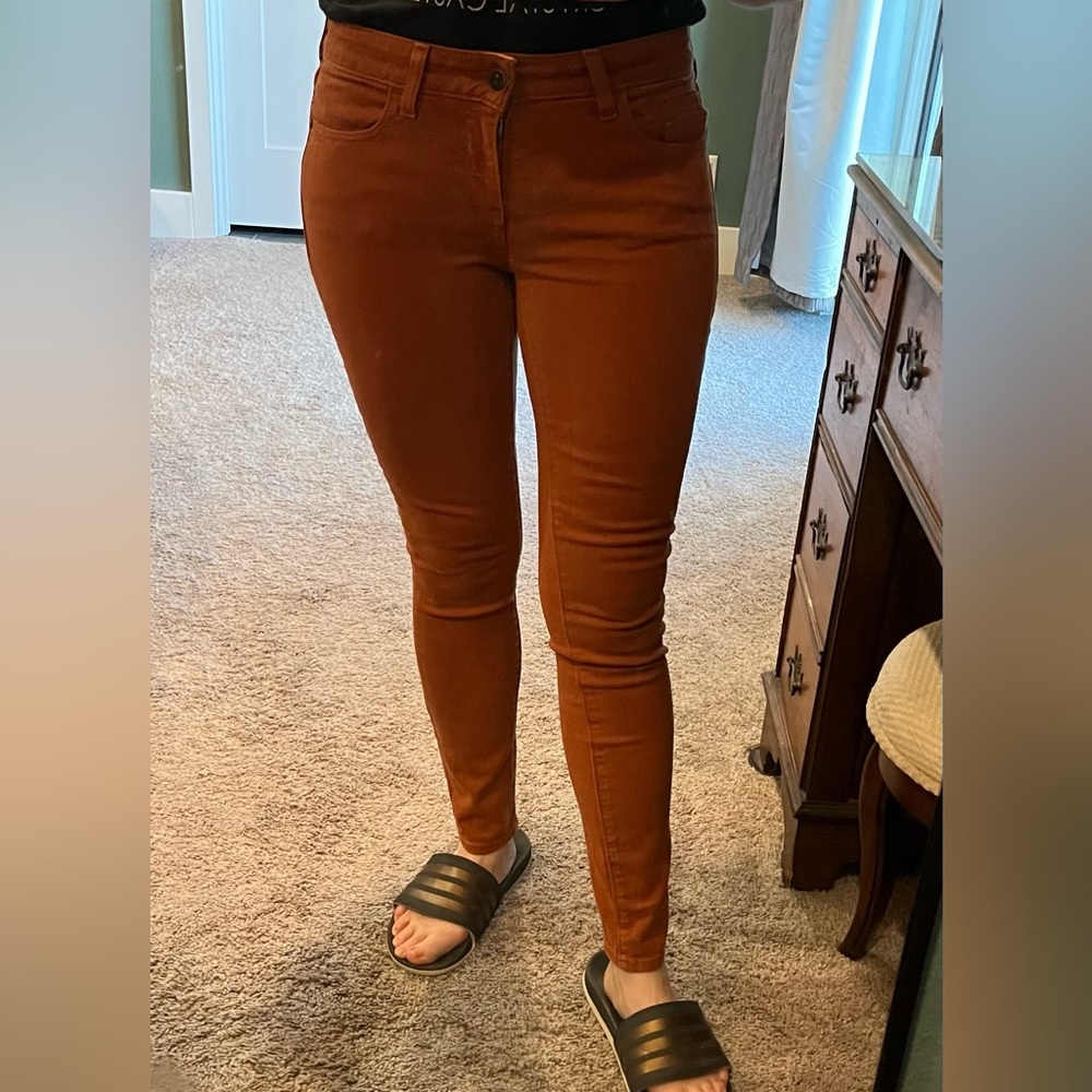 Pilco & the Letterpress rust colored skinny jeans